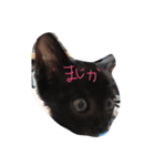 あんちゃん②（個別スタンプ：5）