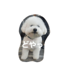 ほっぺです。（個別スタンプ：3）