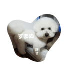 ほっぺです。（個別スタンプ：5）