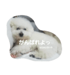 ほっぺです。（個別スタンプ：9）