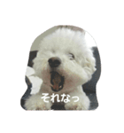 ほっぺです。（個別スタンプ：11）