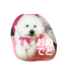 ほっぺです。（個別スタンプ：12）
