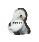 ほっぺです。（個別スタンプ：14）