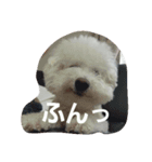 ほっぺです。（個別スタンプ：15）