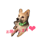虎二郎（個別スタンプ：5）
