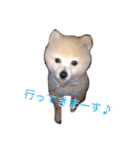 虎二郎（個別スタンプ：6）
