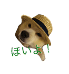虎二郎（個別スタンプ：8）