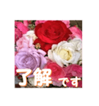 薔薇の花♡アソート3_挨拶メッセージ（個別スタンプ：1）