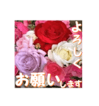 薔薇の花♡アソート3_挨拶メッセージ（個別スタンプ：2）