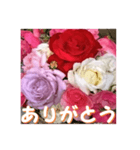 薔薇の花♡アソート3_挨拶メッセージ（個別スタンプ：3）