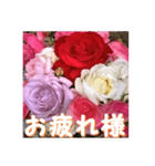 薔薇の花♡アソート3_挨拶メッセージ（個別スタンプ：4）