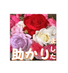 薔薇の花♡アソート3_挨拶メッセージ（個別スタンプ：6）