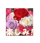 薔薇の花♡アソート3_挨拶メッセージ（個別スタンプ：8）