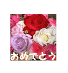 薔薇の花♡アソート3_挨拶メッセージ（個別スタンプ：9）