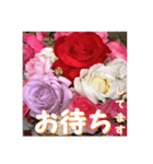 薔薇の花♡アソート3_挨拶メッセージ（個別スタンプ：10）