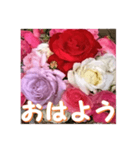 薔薇の花♡アソート3_挨拶メッセージ（個別スタンプ：14）