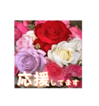 薔薇の花♡アソート3_挨拶メッセージ（個別スタンプ：15）