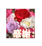 薔薇の花♡アソート3_挨拶メッセージ（個別スタンプ：16）