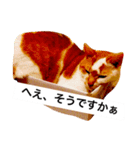 わが家のミュウミュウ（個別スタンプ：6）