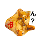 わが家のミュウミュウ（個別スタンプ：15）