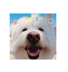 my family stamp.（個別スタンプ：5）
