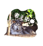 らぶらぶらっきー（個別スタンプ：5）