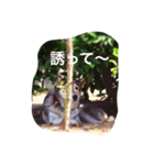 らぶらぶらっきー（個別スタンプ：6）