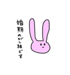 働くうさぎさん（個別スタンプ：39）