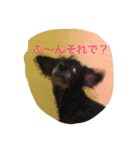ヤギ似のクロちゃん（個別スタンプ：2）