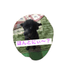 ヤギ似のクロちゃん（個別スタンプ：3）