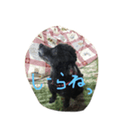 ヤギ似のクロちゃん（個別スタンプ：9）