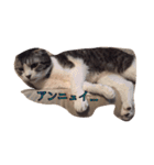 バジルとゆかいななかまたち part1（個別スタンプ：6）