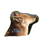 あらしの1日（個別スタンプ：5）