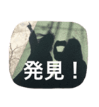ひなこの家族スタンプ（個別スタンプ：5）