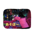 ひなこの家族スタンプ（個別スタンプ：7）