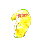 やんちゃな柴犬 そら（個別スタンプ：1）