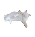 俺の猫がこんな可愛いわけがない（個別スタンプ：2）