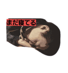 ビューティーくん（個別スタンプ：11）