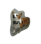 息子へのスタンプ（個別スタンプ：16）