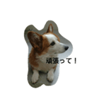 息子へのスタンプ（個別スタンプ：23）
