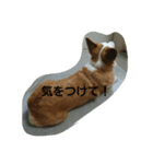 息子へのスタンプ（個別スタンプ：25）