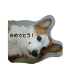 息子へのスタンプ（個別スタンプ：27）