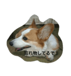 息子へのスタンプ（個別スタンプ：32）