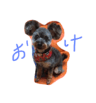 よしだふぁみりー（個別スタンプ：1）