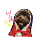 よしだふぁみりー（個別スタンプ：3）