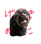 よしだふぁみりー（個別スタンプ：6）