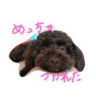 よしだふぁみりー（個別スタンプ：12）
