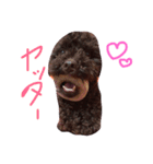 よしだふぁみりー（個別スタンプ：15）