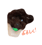 よしだふぁみりー（個別スタンプ：16）