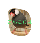 MTMR（個別スタンプ：3）
